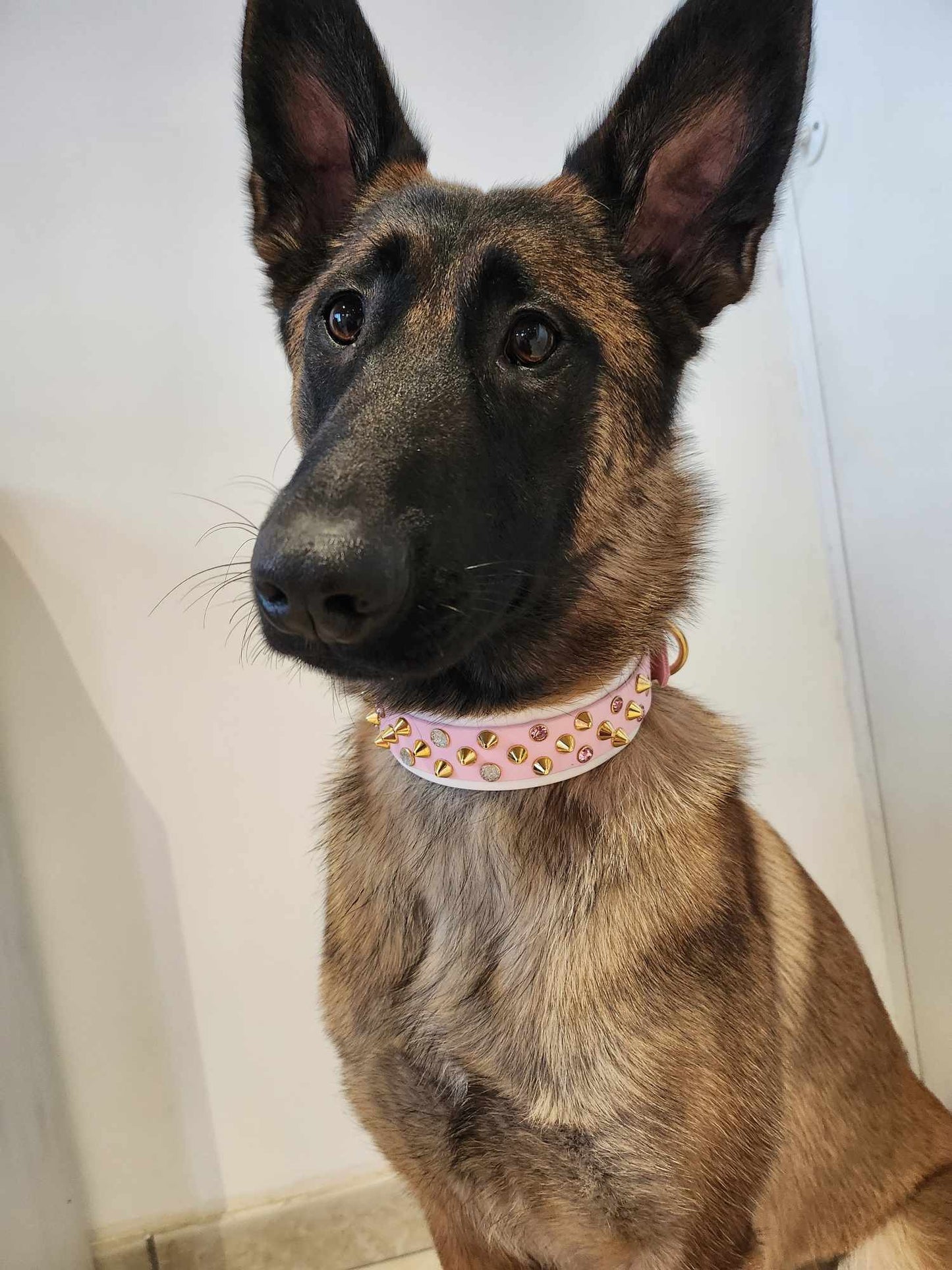 Athena Collar