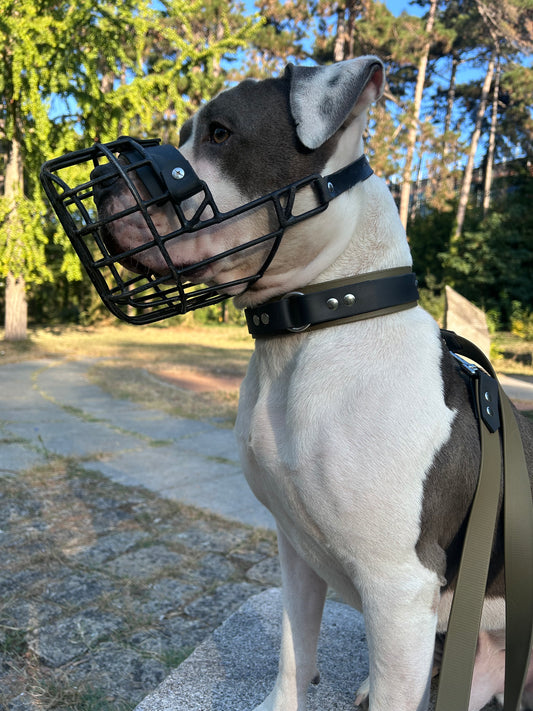 Duo Collar