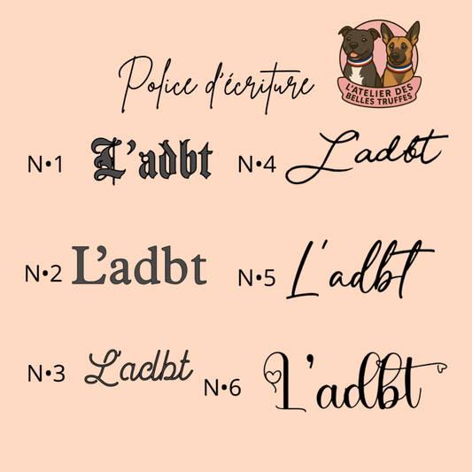 Laisse Liberty Multiposition