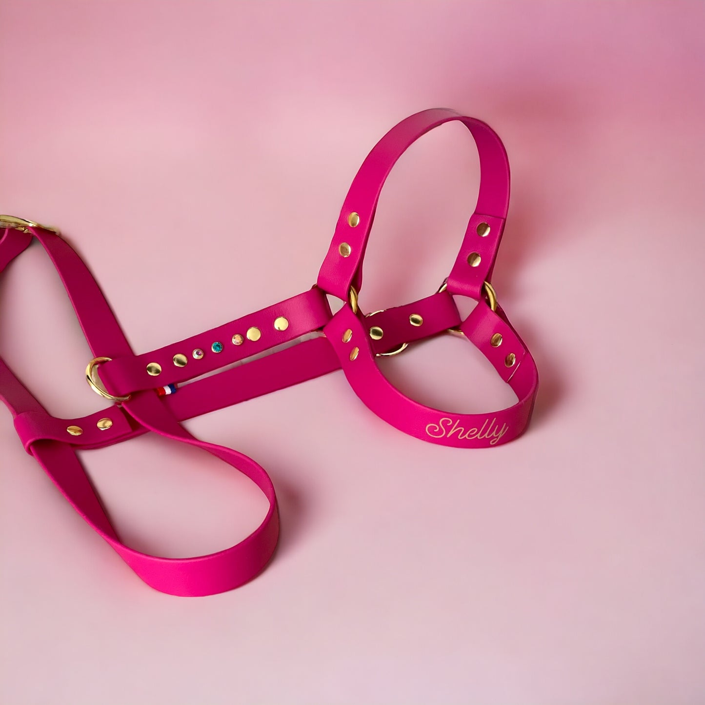 Sleeping beauty Harness