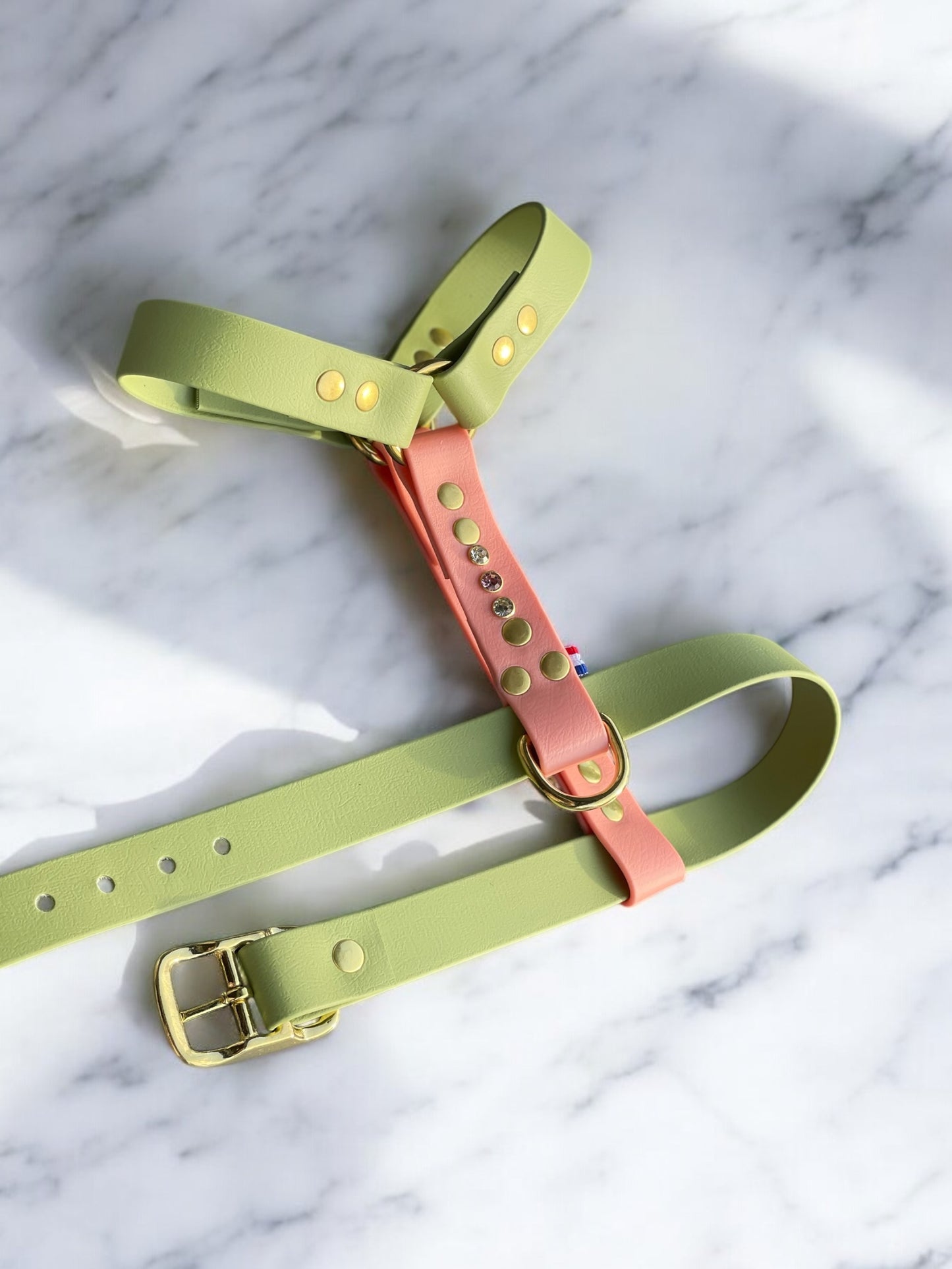 Sleeping beauty Harness