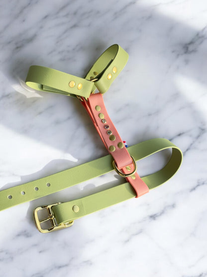 Sleeping beauty Harness