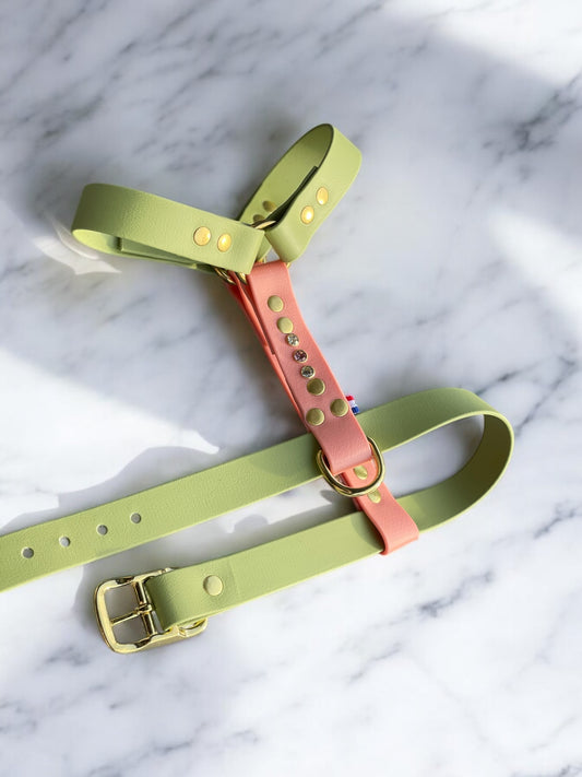 Sleeping beauty Harness