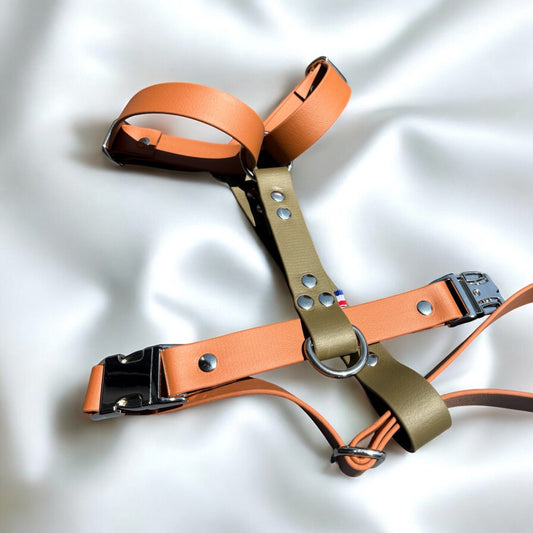 Harnais Réglable