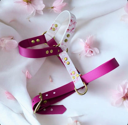 Harnais Sakura 🌸