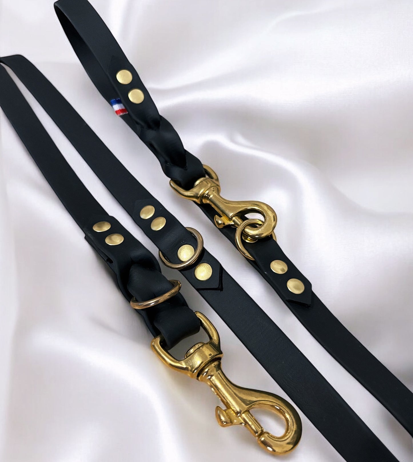 Laisse Multiposition