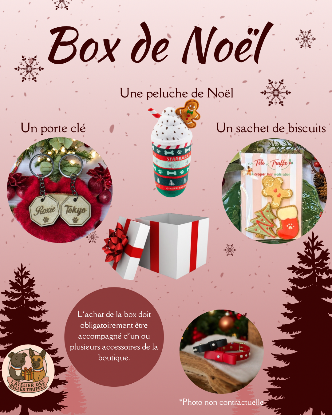 Box de Noël