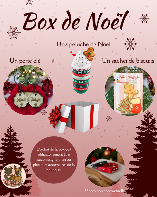 Box de Noël