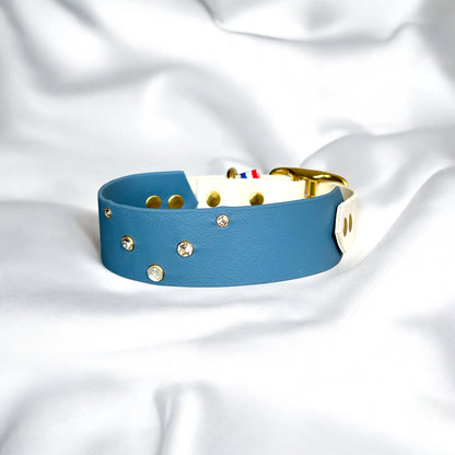 Ambassador Collar ✨