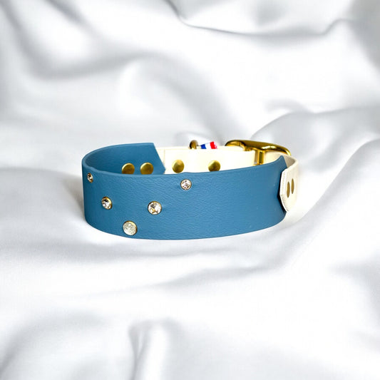 Ambassador Collar ✨
