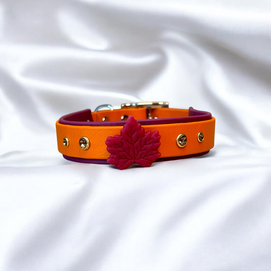 Leaf Collar 🍁
