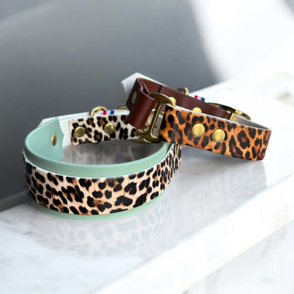 Leopard Collar 🐆