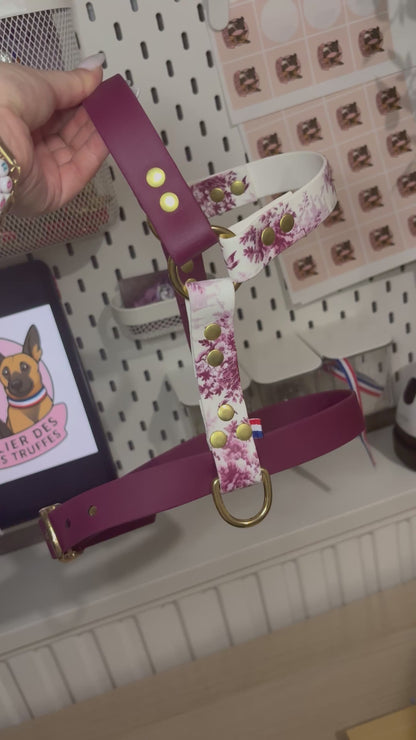 Harnais impression UV 25 mm (Imprimé UV au choix)