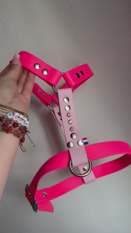 Sleeping beauty Harness