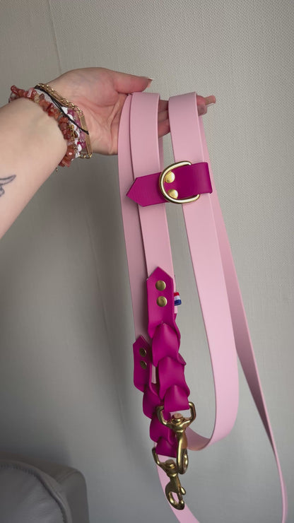 Laisse Liberty Multiposition