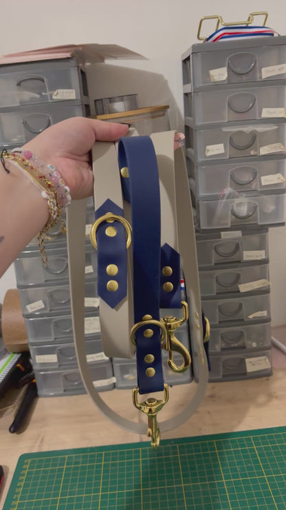 Laisse Multiposition